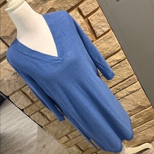 J. Jill Women's Blue V-Neck Sweater